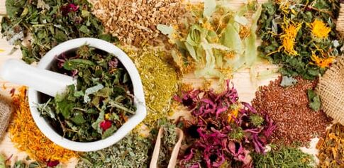 Raw materials for the production of folk remedies for thoracic osteochondrosis