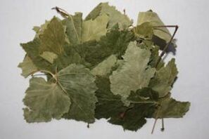 Birch leaves for the treatment of osteoarthritis